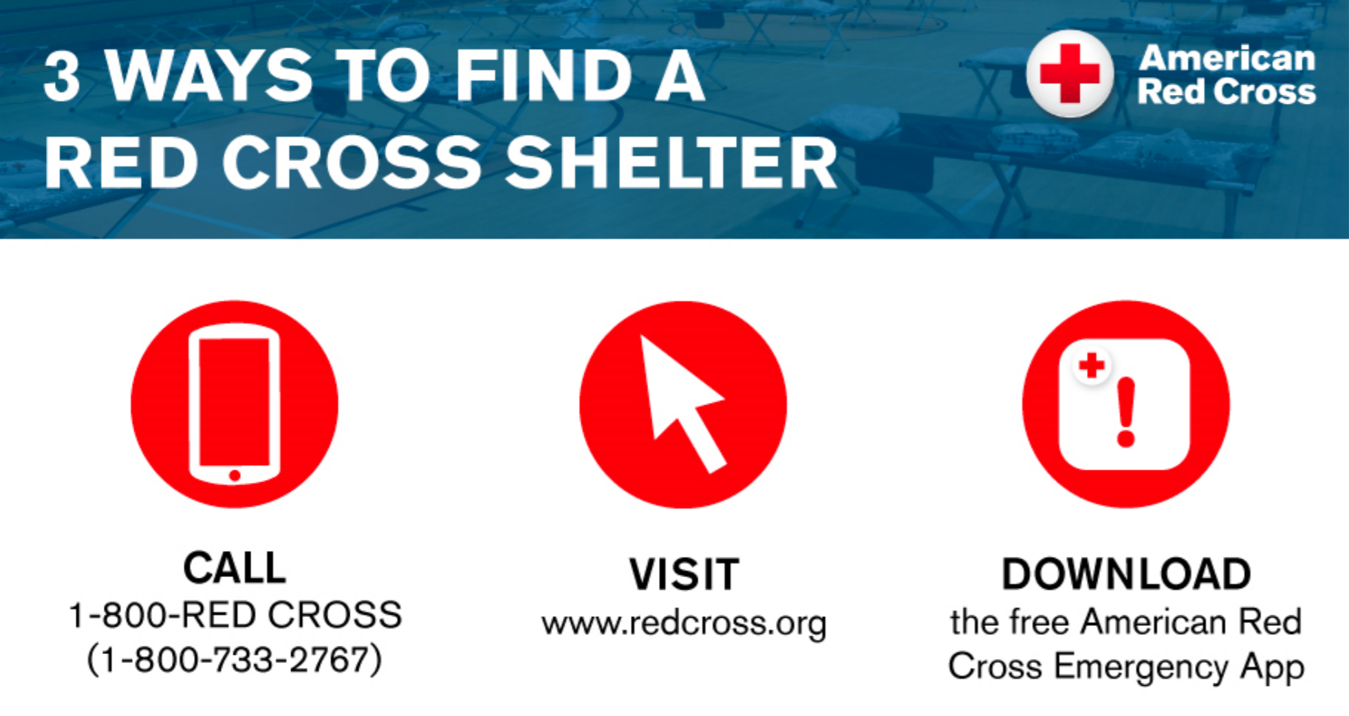 Find a Shelter.PNG