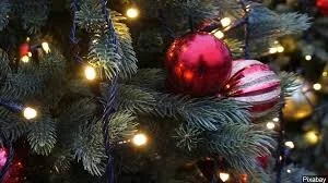 Christmas tree close up.jpg
