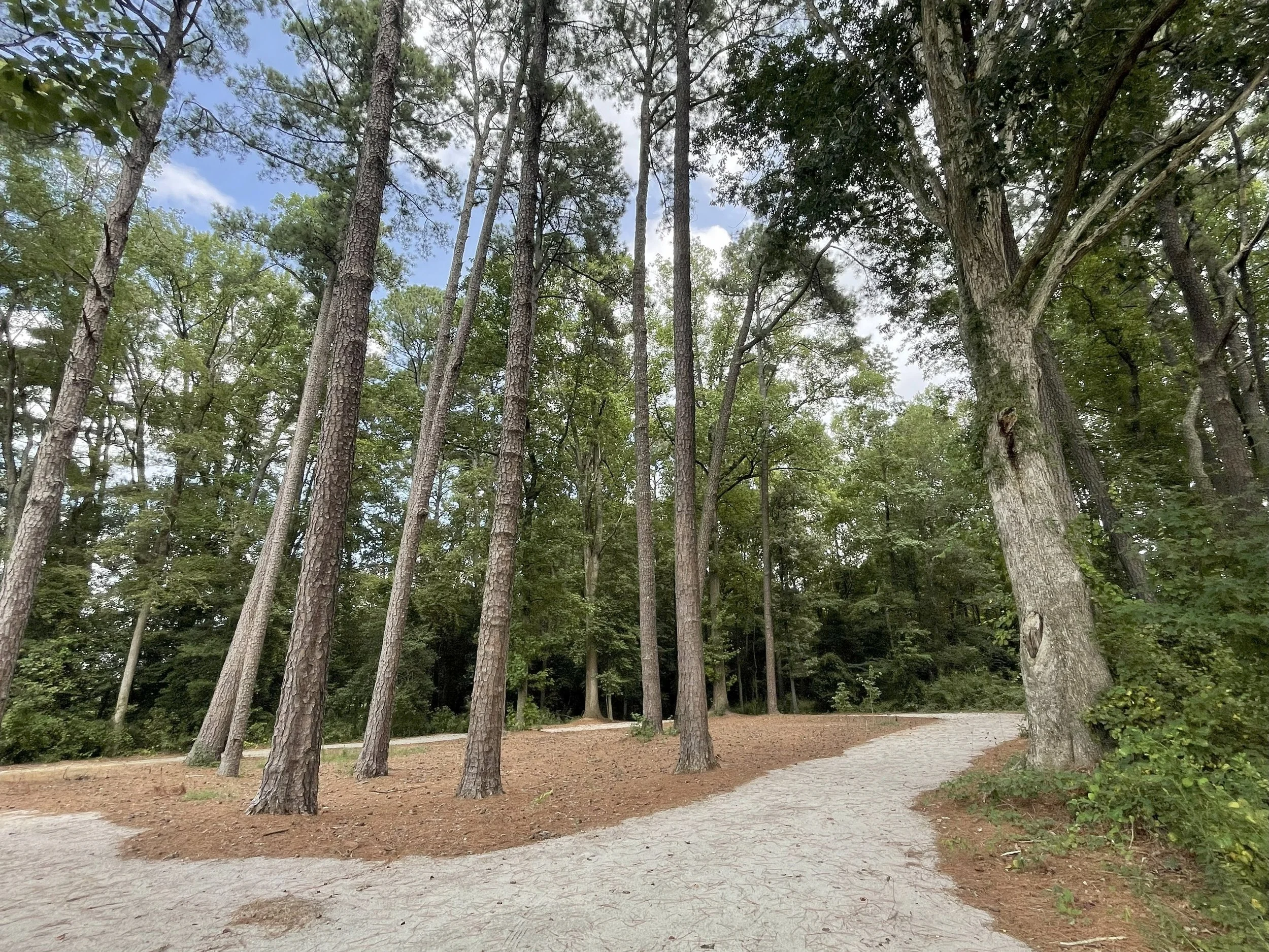 ParkTrail (1).jpg